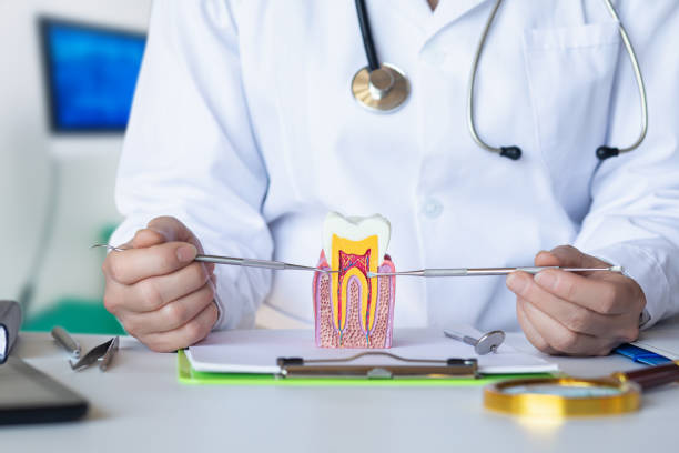 Best Emergency Dentist for Knocked-Out Tooth in Summit View, WA
